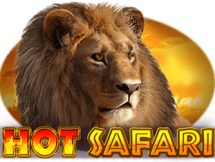 Hot Safari icon