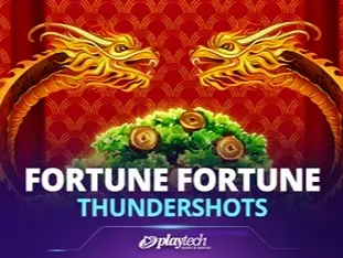 Fortune Fortune_ Thundershots game cover